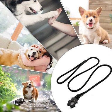 dog leash rope dog leash rope